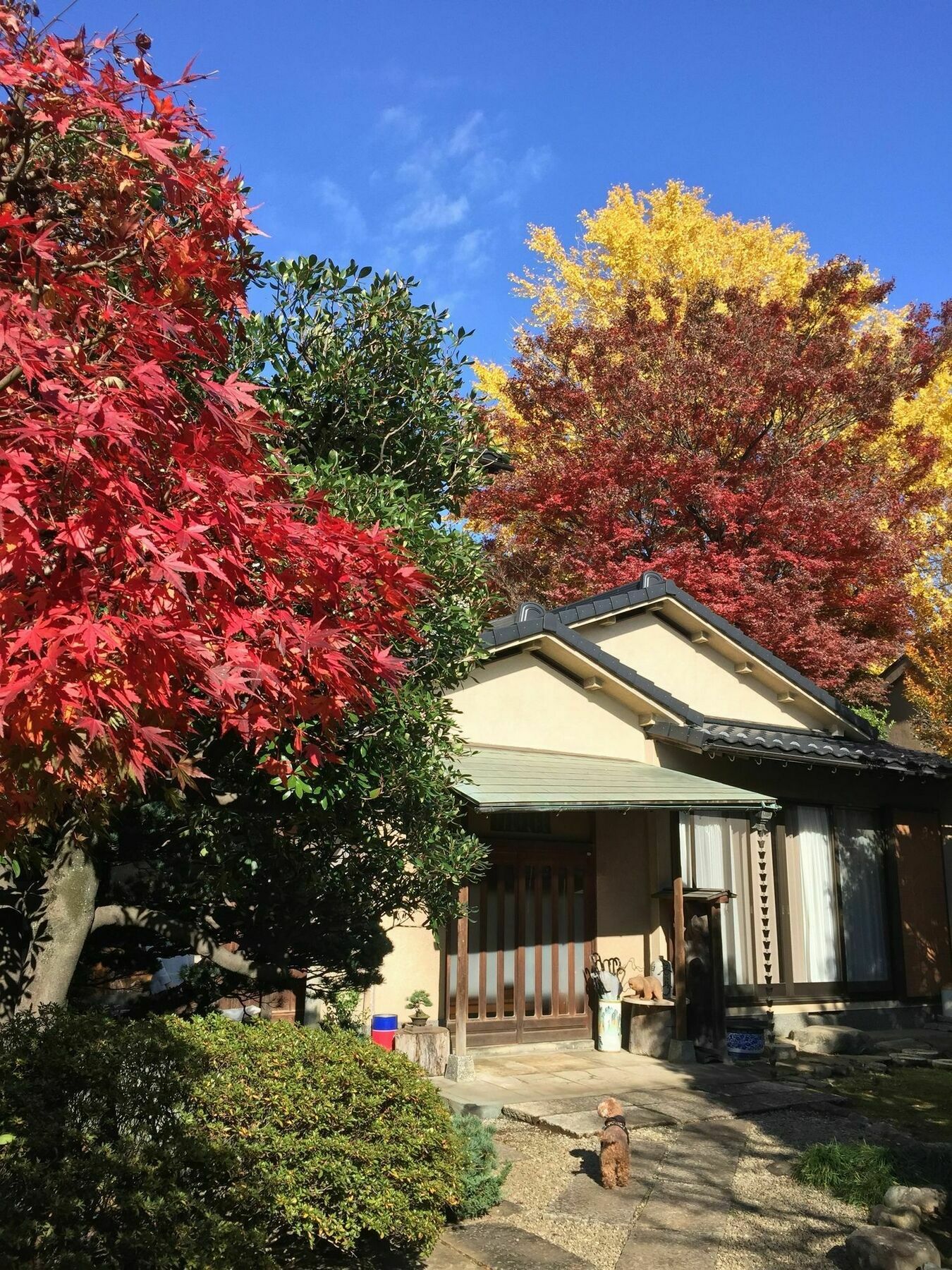 Mokkoan Hotell Tokyo Eksteriør bilde